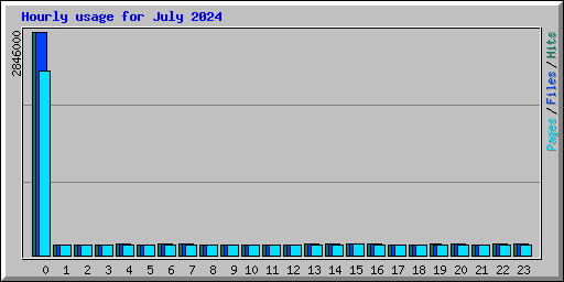 Hourly usage for July 2024