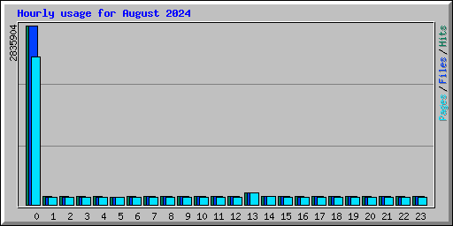 Hourly usage for August 2024